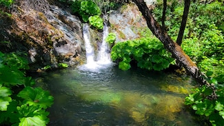 000 Grizzly Gulch Rd, Whiskeytown, CA 96095
