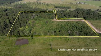 TBD Hwy 171 Hwy, Longville, LA 70652