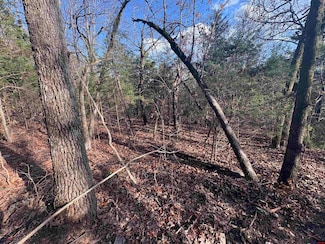 001-03671-002 Arkansas 101, Gamaliel, AR 72537