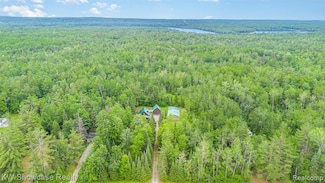 699 W Cherry Creek Rd, Mio, MI 48647