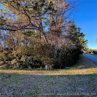 202 Pettiford Rd, Peletier, NC 28584
