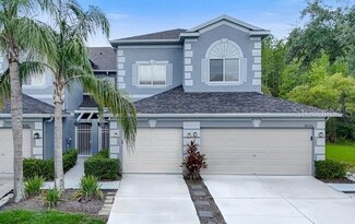 18148 Nassau Point Dr, Tampa, FL 33647