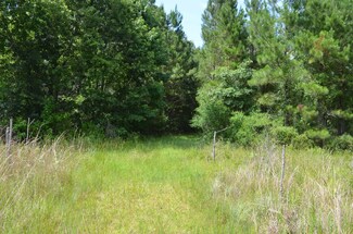 000 Florida Power Easement Rd, Perry, FL 32348