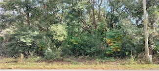 973 N Maynard Ave, Lecanto, FL 34461
