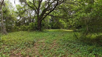 2ac NE 231 St, Fort Mc Coy, FL 32134