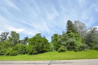 35 Shannon Glen Dr, Tyrone Township, MI 48430