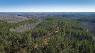 0 Mathis Hollow Rd, Centerville, TN 37033