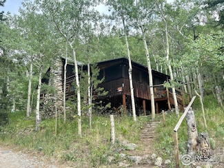 585 Washington Ave, Nederland, CO 80466