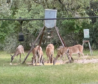 475 Stoney Hill Ln, Pipe Creek, TX 78063