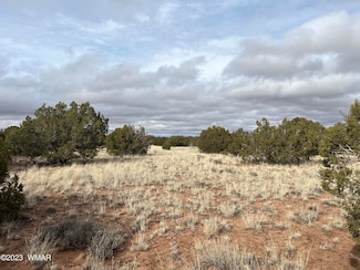 4053 E Pinto Rd Unit 4049 E Pinto Rd, Snowflake, AZ 85937