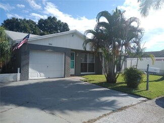 9403 Bramble Ct, Tampa, FL 33615