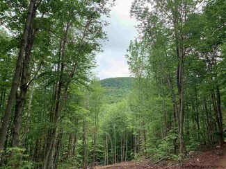 0 Silver Hollow, Willow, NY 12495