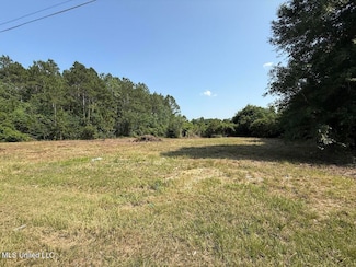 0 Sunfish Cove Unit 4115604, Perkinston, MS 39573