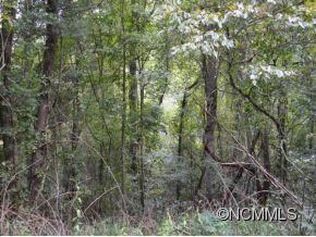 101 Robinhood Rd, Asheville, NC 28804