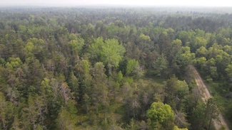 Parcel C Cherry Creek Rd, Grayling, MI 49738