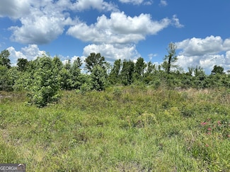 LOT 8 U S Highway 19, Dublin, GA 31021