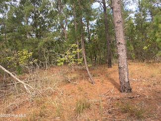 0 Plank Unit 100505544, Robbins, NC 27325