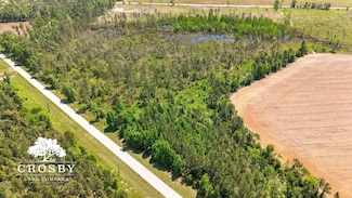 0 Highway 56, Midville, GA 30441