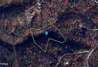 3537 Mountain Top Ln, Sevierville, TN 37876