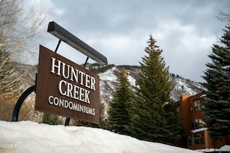 910 Vine St Unit 910, Aspen, CO 81611