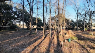 91 Castle Hill Dr, Yemassee, SC 29945