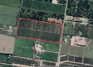 000 Texan Rd, Palmview, TX 78574