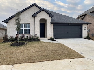 213 Portina Dr, Anna, TX 75409