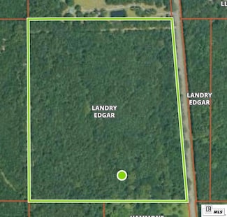 000 Louisiana 139, Monroe, LA 71203