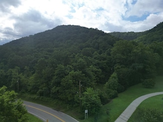 27 Paint Creek Rd, Hansford, WV 25103