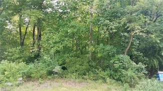 13 Noel Rd, Stoneville, NC 27048