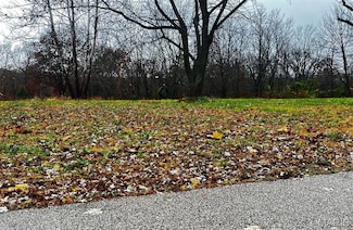 209 N Victor St, Bland, MO 65014