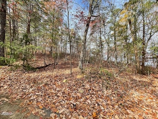 Lot 21R Sugar Mountain Way, Pigeon Forge, TN 37863