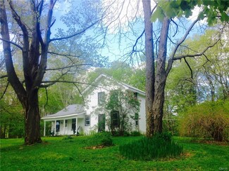 13009 Pople Rd, Martville, NY 13111