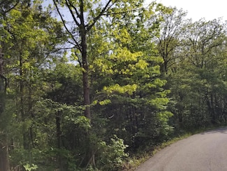 00 1 47 Acres On Greenbriar St, Gainesville, MO 65655