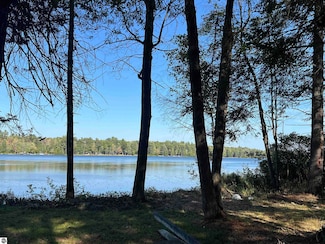 5532 Kerbyson Dr SE, Kalkaska, MI 49646