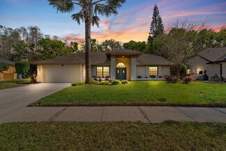 3342 Wedgewood Way, Tarpon Springs, FL 34688