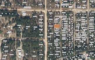 00 SW 59 Ave, Interlachen, FL 32148
