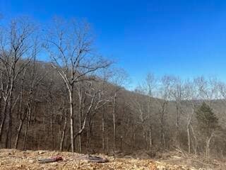 000 Deer Valley Subdivison Lot 4, Galena, MO 65656