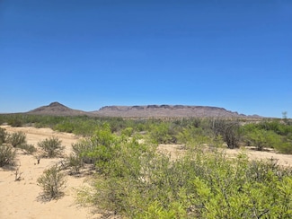 225 S Digger Rd, Terlingua, TX 79852