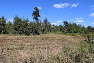 TBD County Road 2215, Rusk, TX 75785