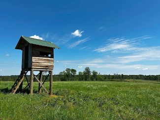 0 Country Road 31, Paulding, MS 39439