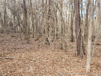 2071 Evans Dairy Rd, Fayetteville, NC 28312