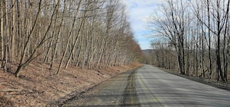 0 Barden Hill Rd, Richford, NY 13835