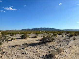 26 Danby Rd, Wonder Valley, CA 92277