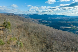 0 Spring Pond Trail, Cana, VA 24317