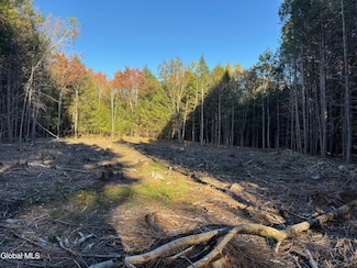 L1.112 Kipple Rd, Sand Lake, NY 12153