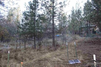 tbd Larch Rd, Kamiah, ID 83536
