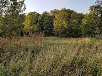 7000 Surrey Dr, Onsted, MI 49265