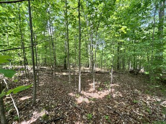 0 Sarvis Ridge Rd, Normandy, TN 37360