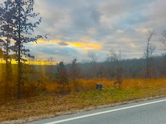 Lot 2 S Bend Dr, Horseshoe Bend, AR 72512